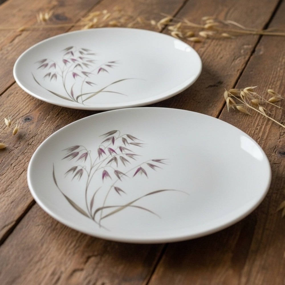 Knowles Mid Century China Vintage Wild Oats Set 2 Dinner Plates